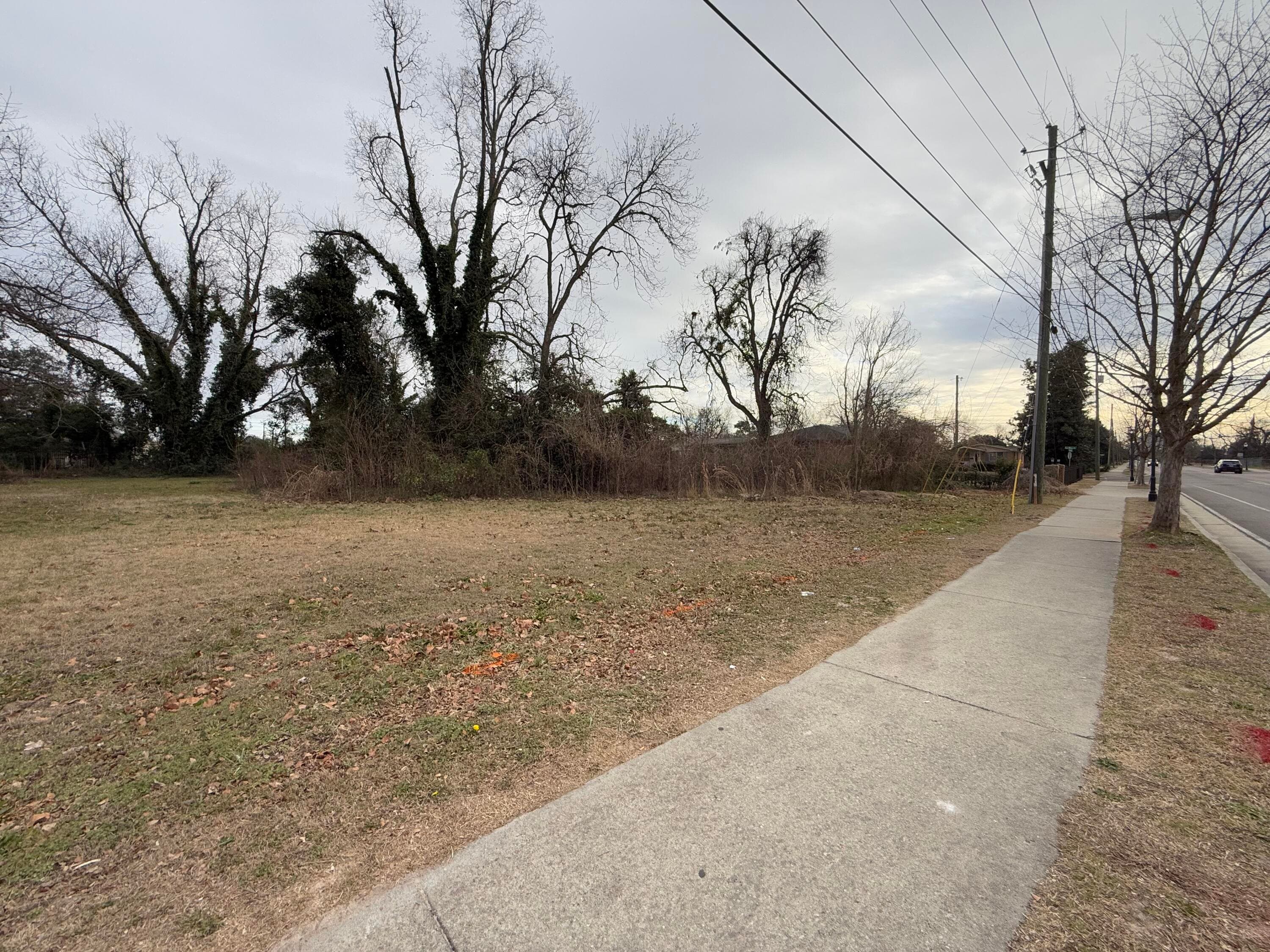 Undeveloped at 528 E Boundary Street, Augusta, GA 30901, photo 3 of 3