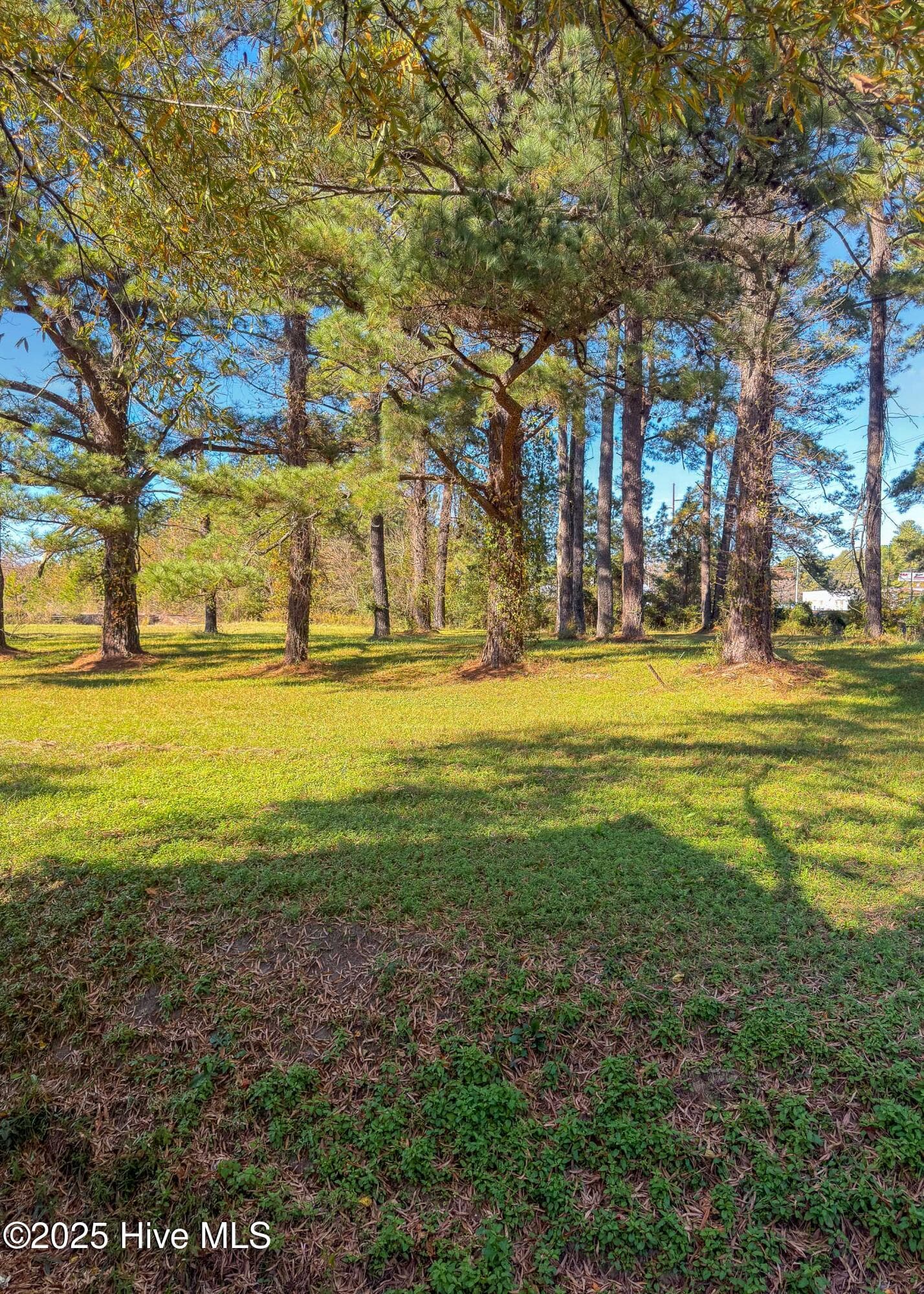 Industrial at 3101 Neuse Boulevard, New Bern, NC 28560, photo 15 of 17