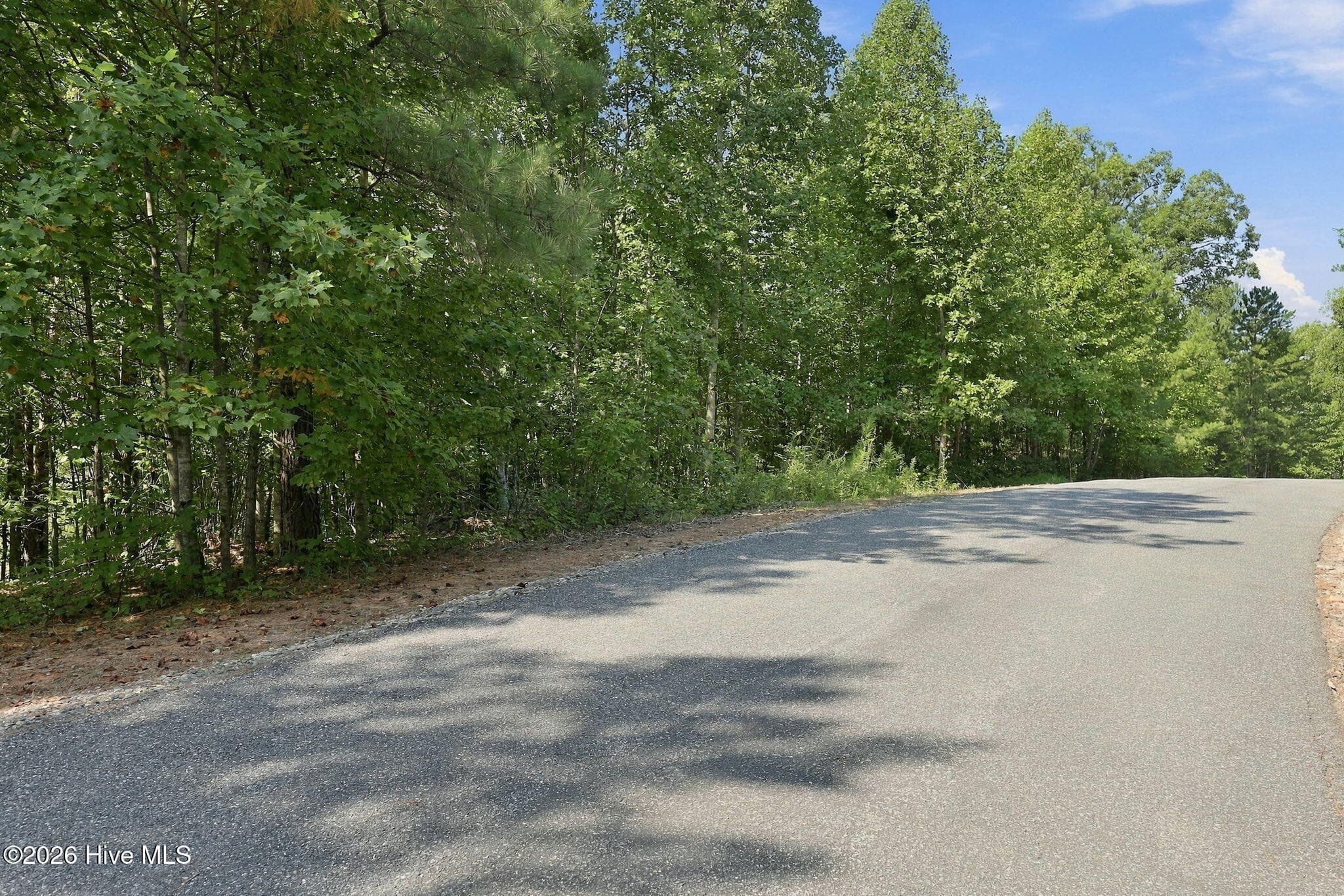 Residential Lot at 0 Nathan Mcdaniel Drive, Nebo, NC 28761, photo 23 of 30