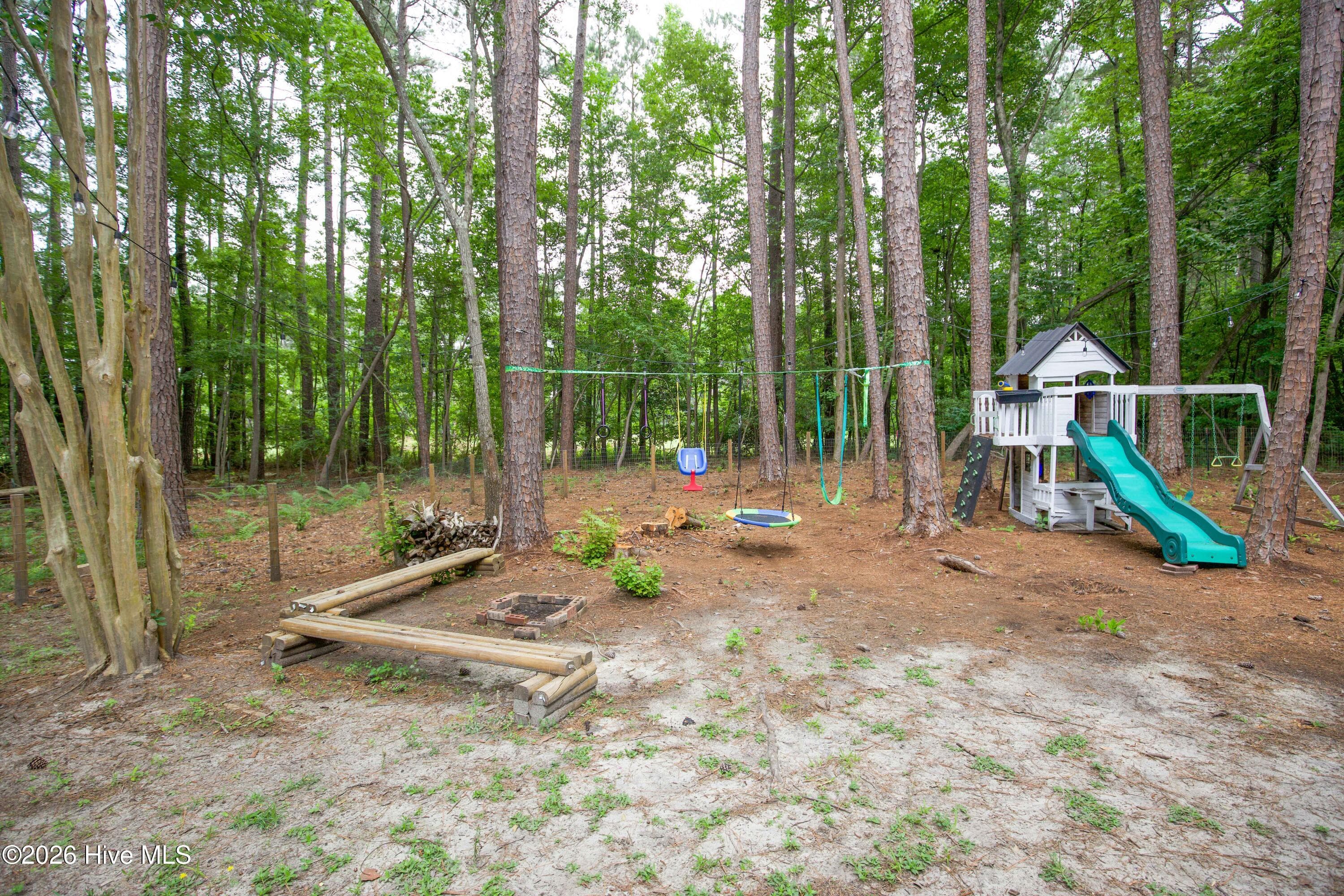 Back Yard - 248 Chickory Place, Vass, NC 28394