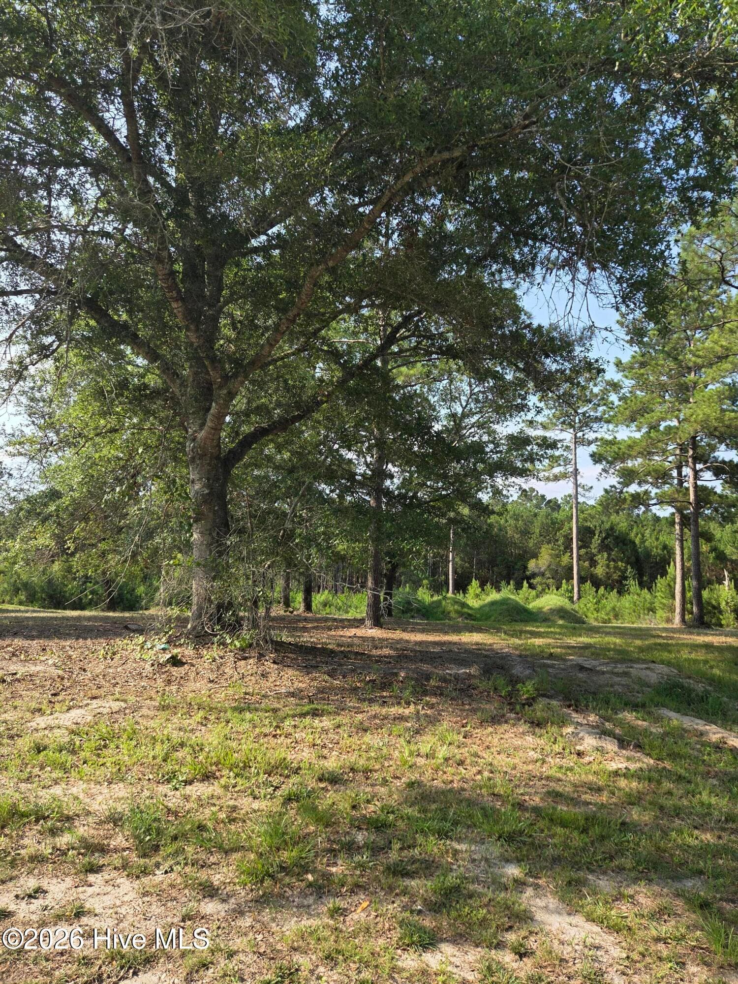 Residential Lot at 7547 33 Wallace Place SW, Sunset Beach, NC 28468, photo 6 of 6