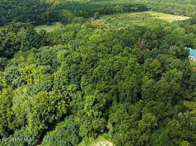 Wooded at Tbd Cedar Street, Rockingham, NC 28379, photo 18 of 18