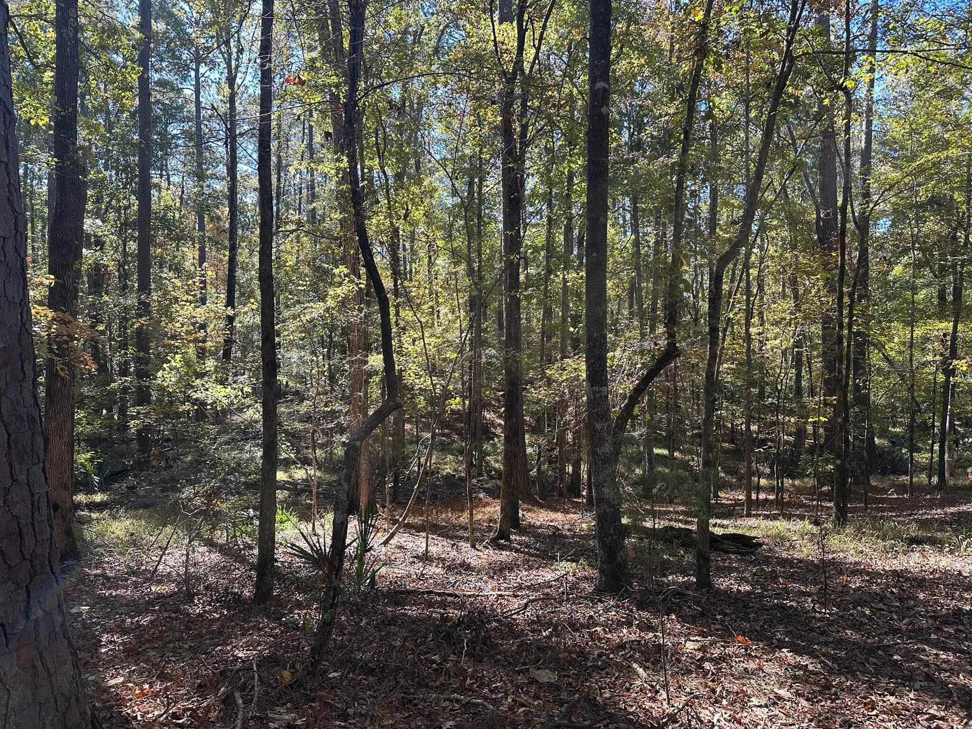 Residential Lot at 167 7 Southwind Drive, McCormick, SC 29835, photo 5 of 18
