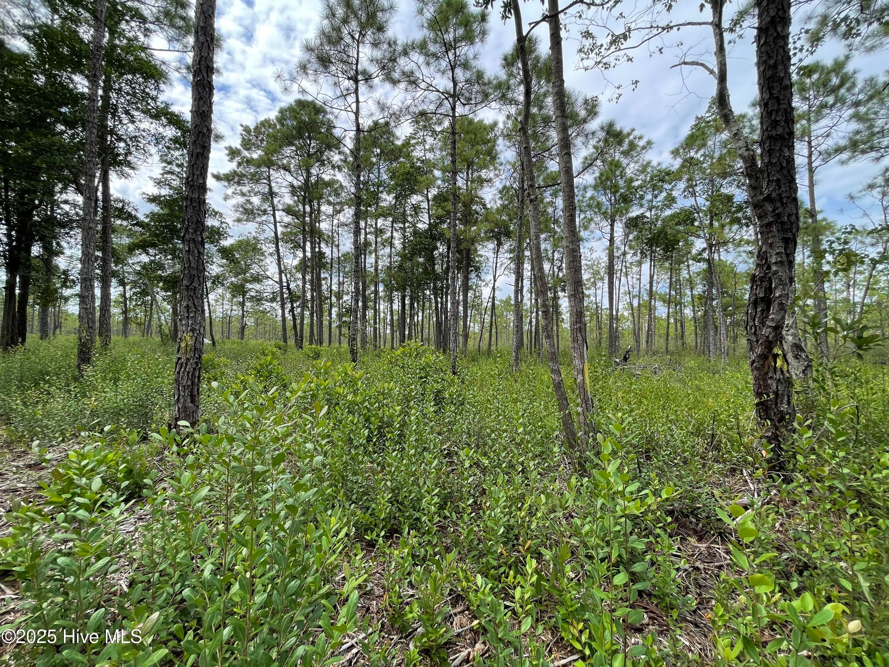 Residential Lot at 811 Brittany Road, Southport, NC 28461, photo 20 of 25