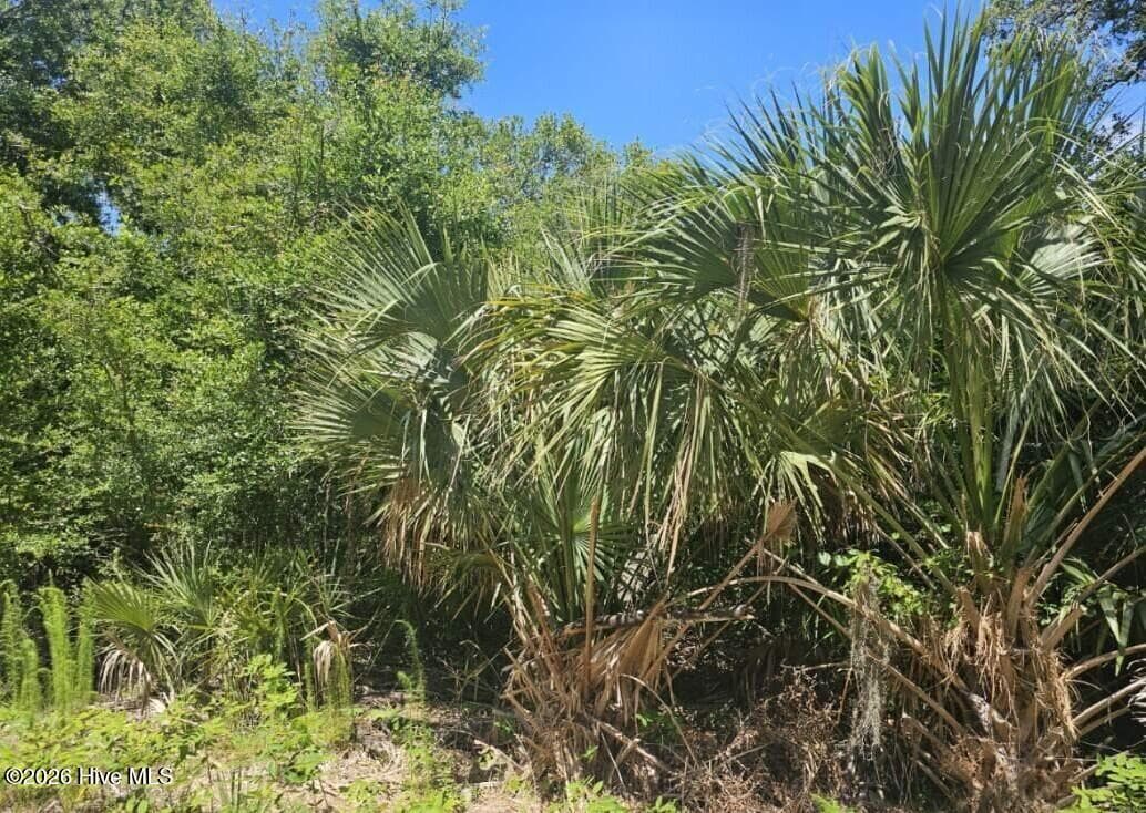 6 394 Red Bay Court, Bald Head Island, NC 28461