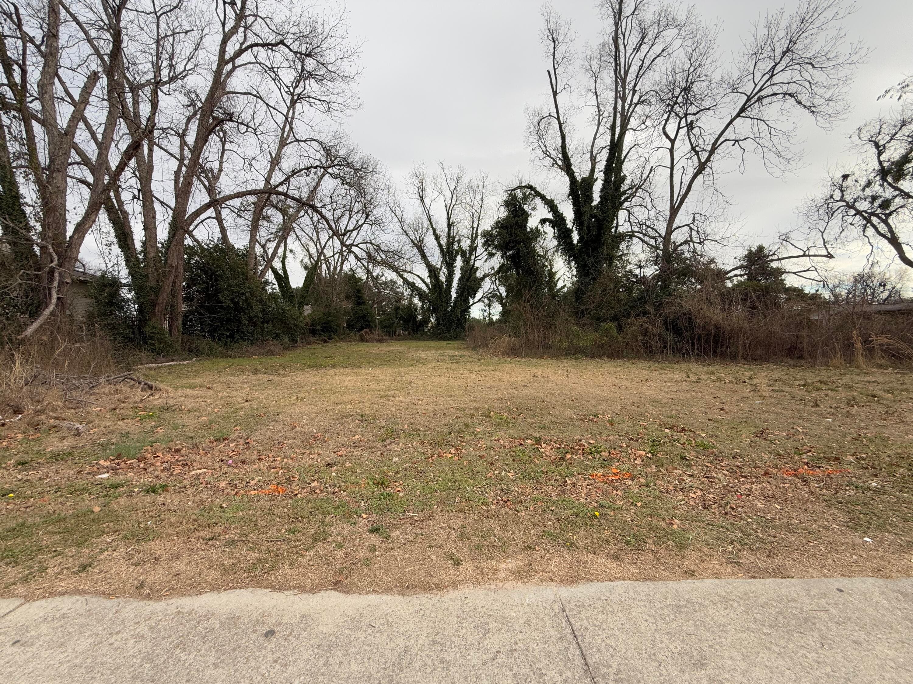 Undeveloped at 528 E Boundary Street, Augusta, GA 30901, photo 2 of 3
