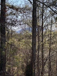 Undeveloped at 9-11 Sugar Maple Road, Murphy, NC 28906, photo 3 of 7