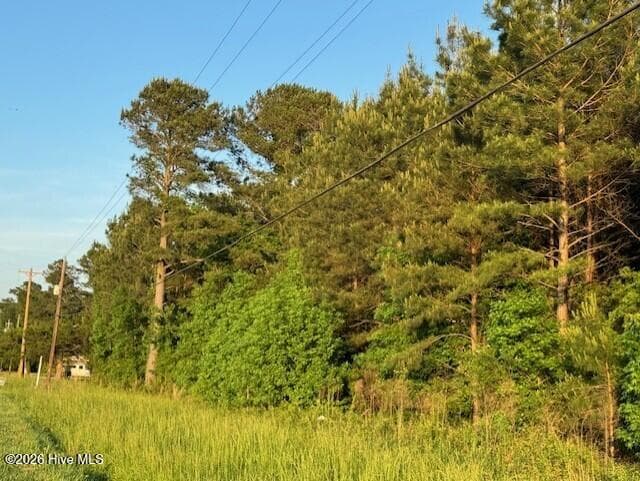 Unimproved Land at 53 Nc Hwy 53, Burgaw, NC 28425, photo 10 of 11