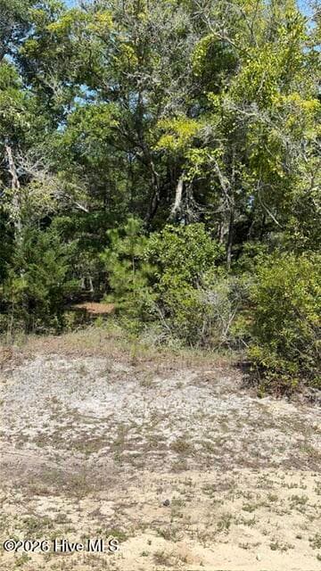 Residential Lot at 3374 469 Sandridge Lane SW, Supply, NC 28462, photo 2 of 16