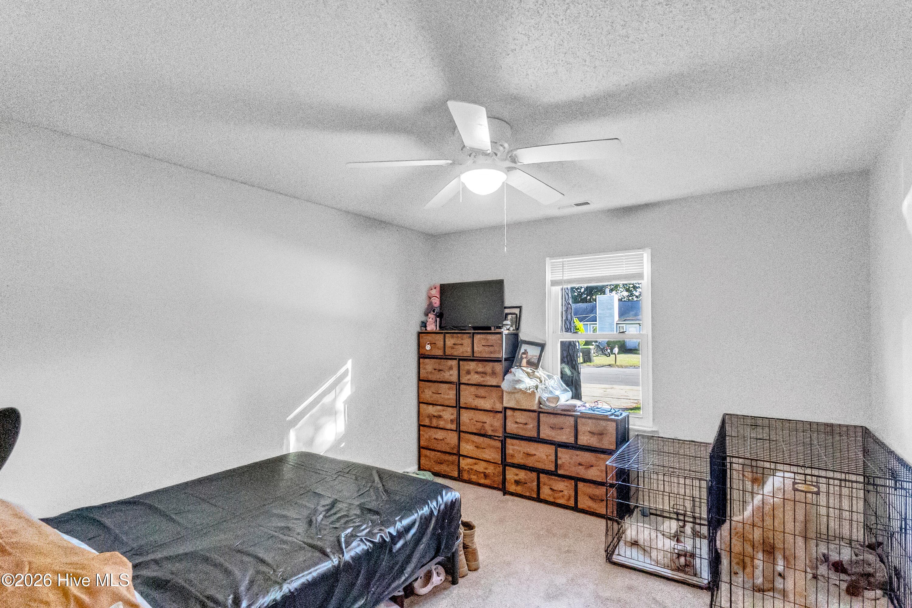 Duplex at 231-233 Easy Street, Jacksonville, NC 28546, photo 45 of 54