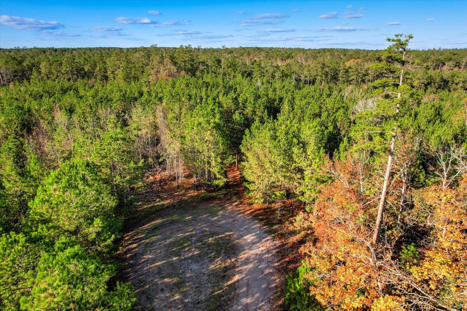 Undeveloped at Tbd2 Sc-23, Edgefield, SC 29824, photo 27 of 41