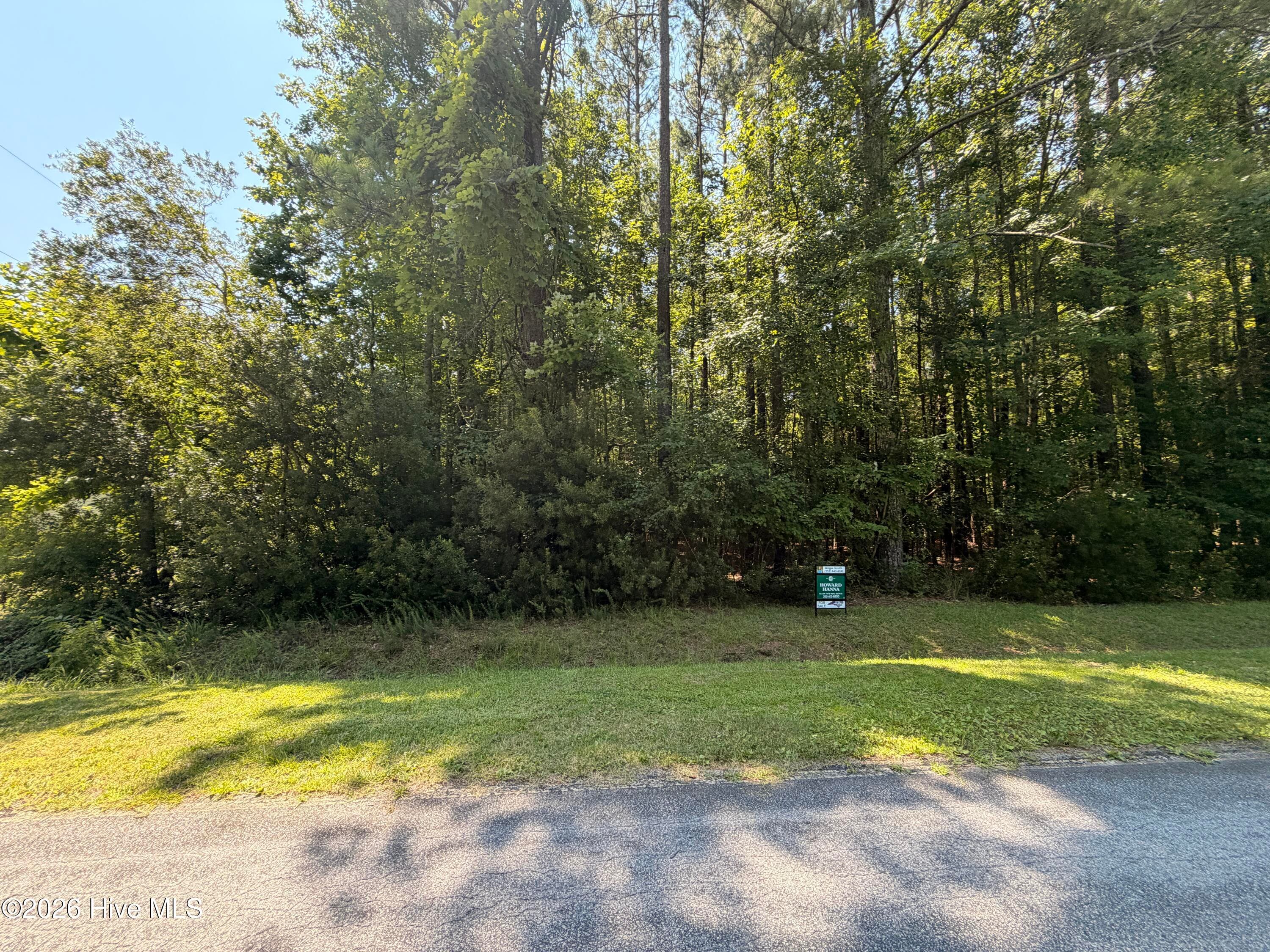Residential Lot at Lot 18 Off Sr 1119, Blounts Creek, NC 27814, photo 3 of 3