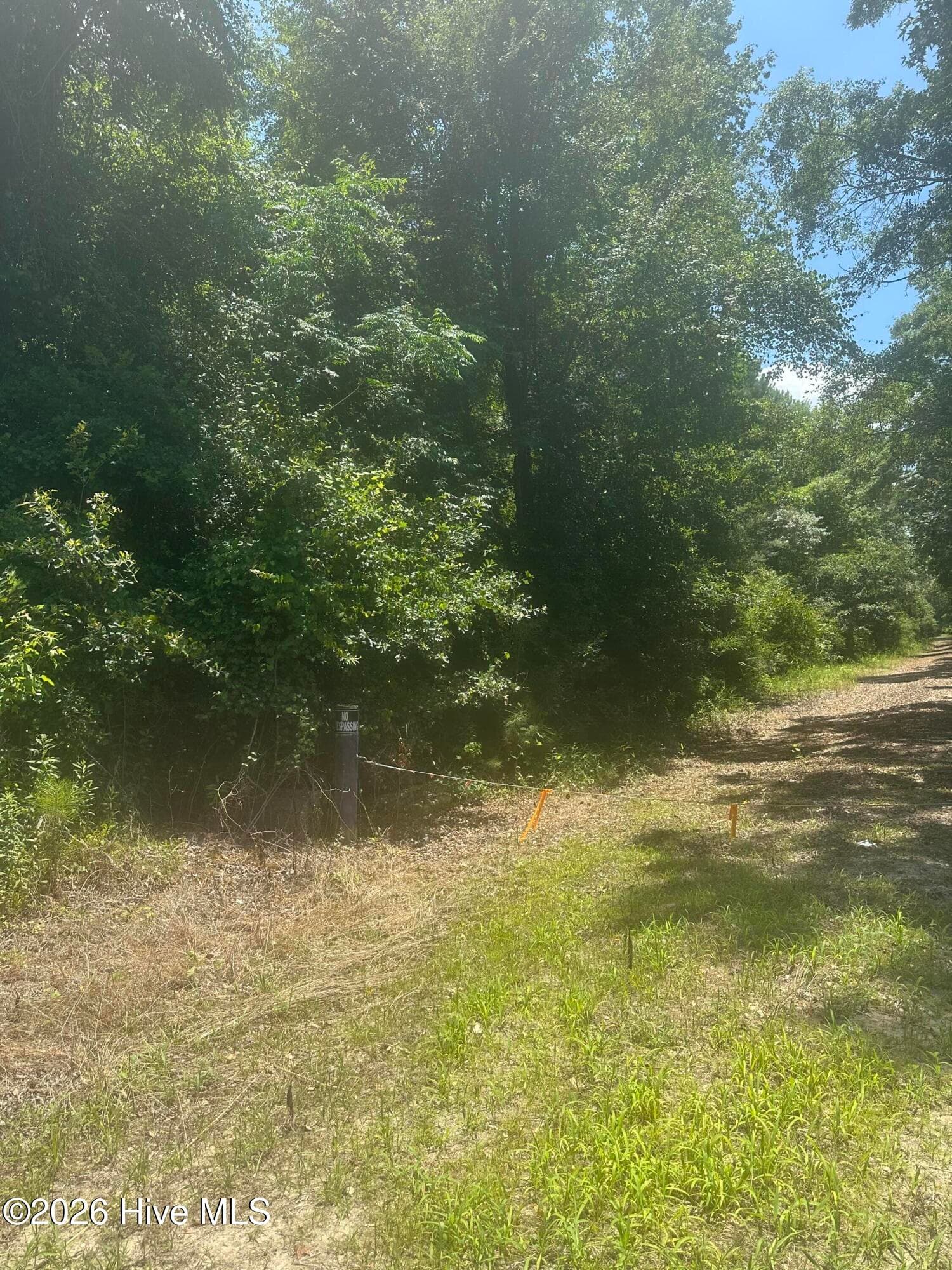 Wooded at Near 721 Near 721 Joe Piver R Road, Chadbourn, NC 28431, photo 7 of 21