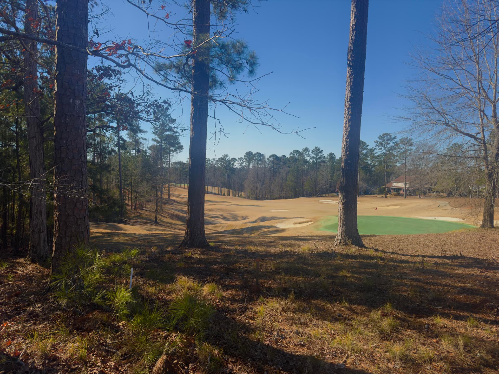 Undeveloped at 118 21 Ashland Drive, McCormick, SC 29835, photo 2 of 2