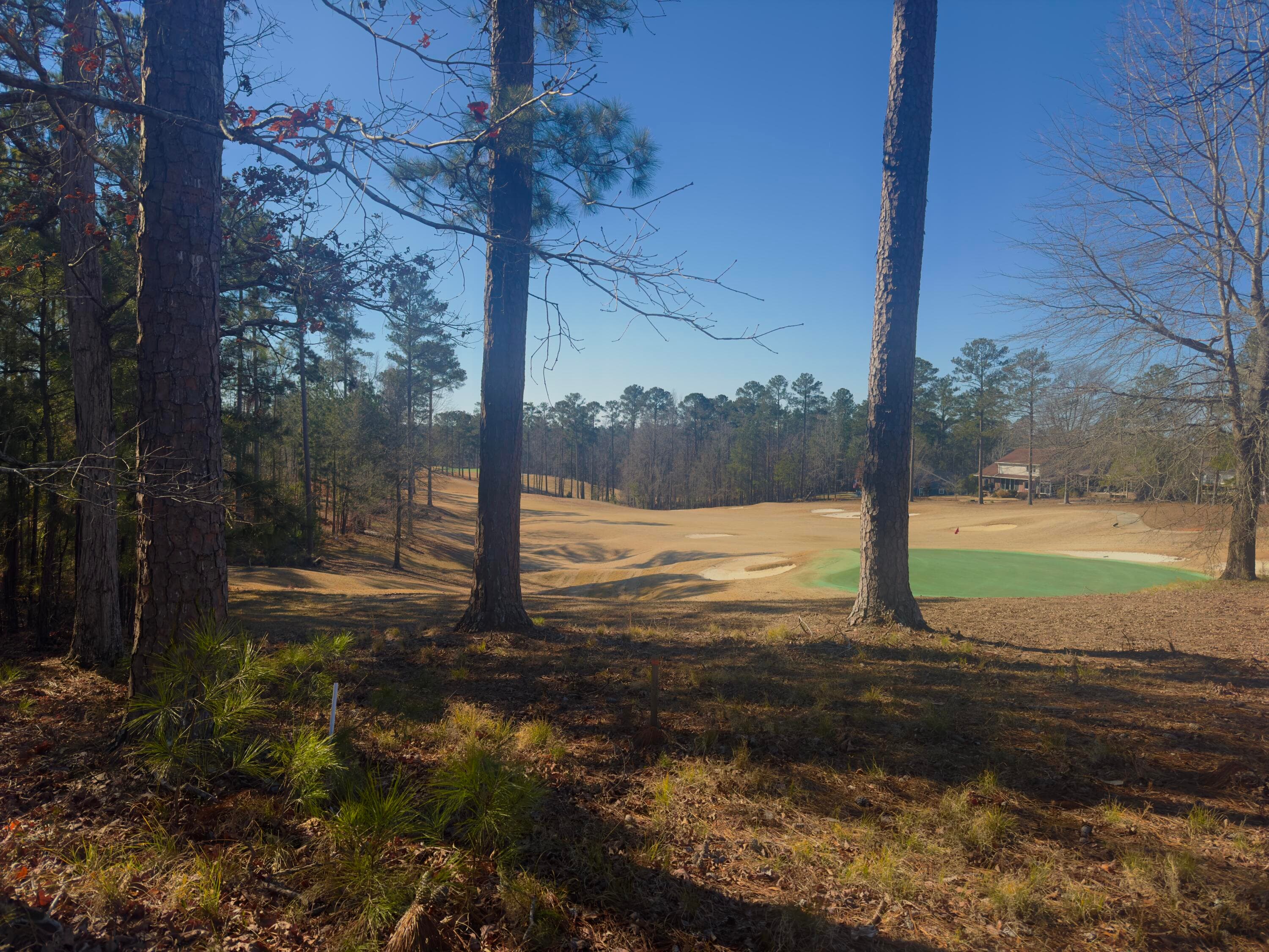 Undeveloped at 118 21 Ashland Drive, McCormick, SC 29835, photo 2 of 2