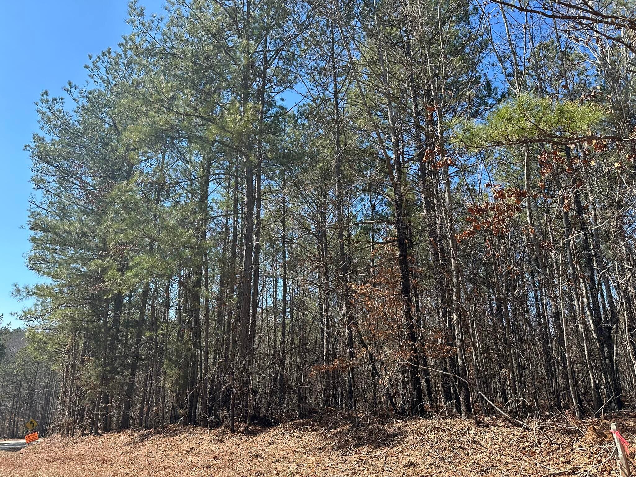 Residential Lot at Lot 31 31 Willow Way, Lincolnton, GA 30817, photo 2 of 24