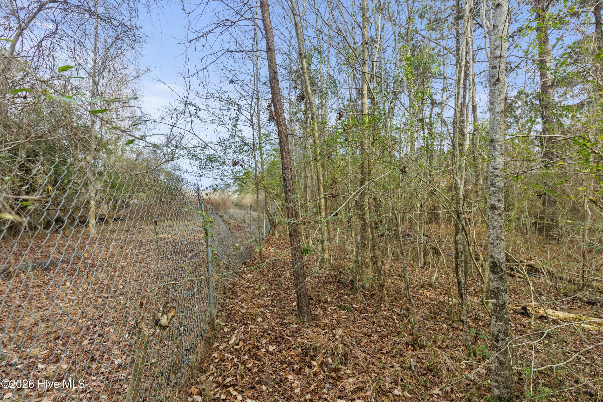 Undeveloped at 2711 Old Airport Road, New Bern, NC 28562, photo 8 of 23
