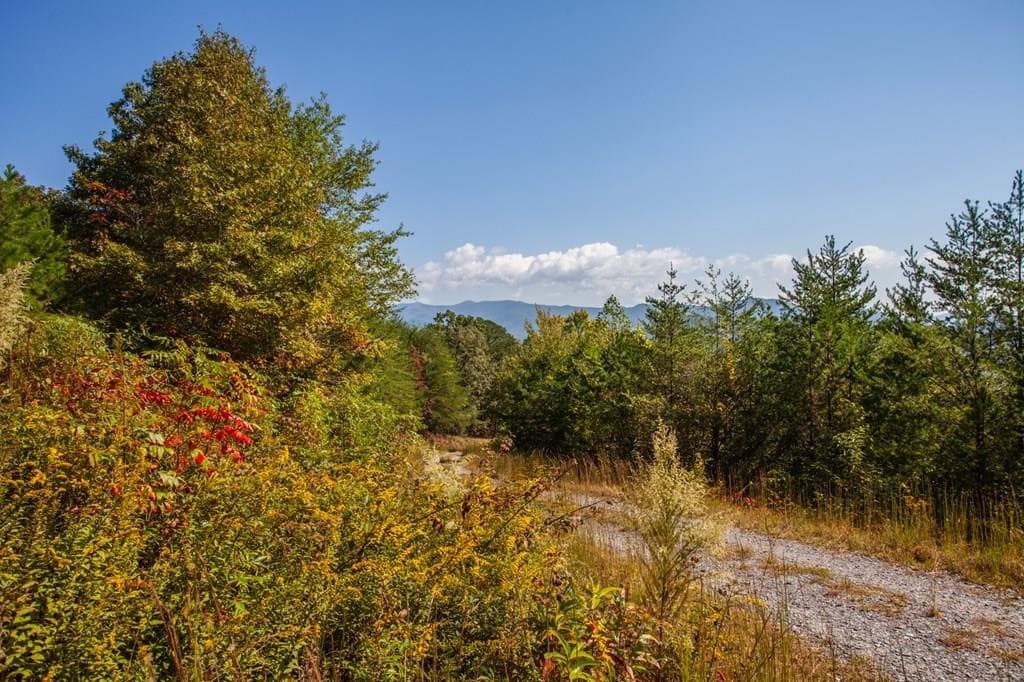 000 Mistletoe Ridge, Murphy, NC 28906