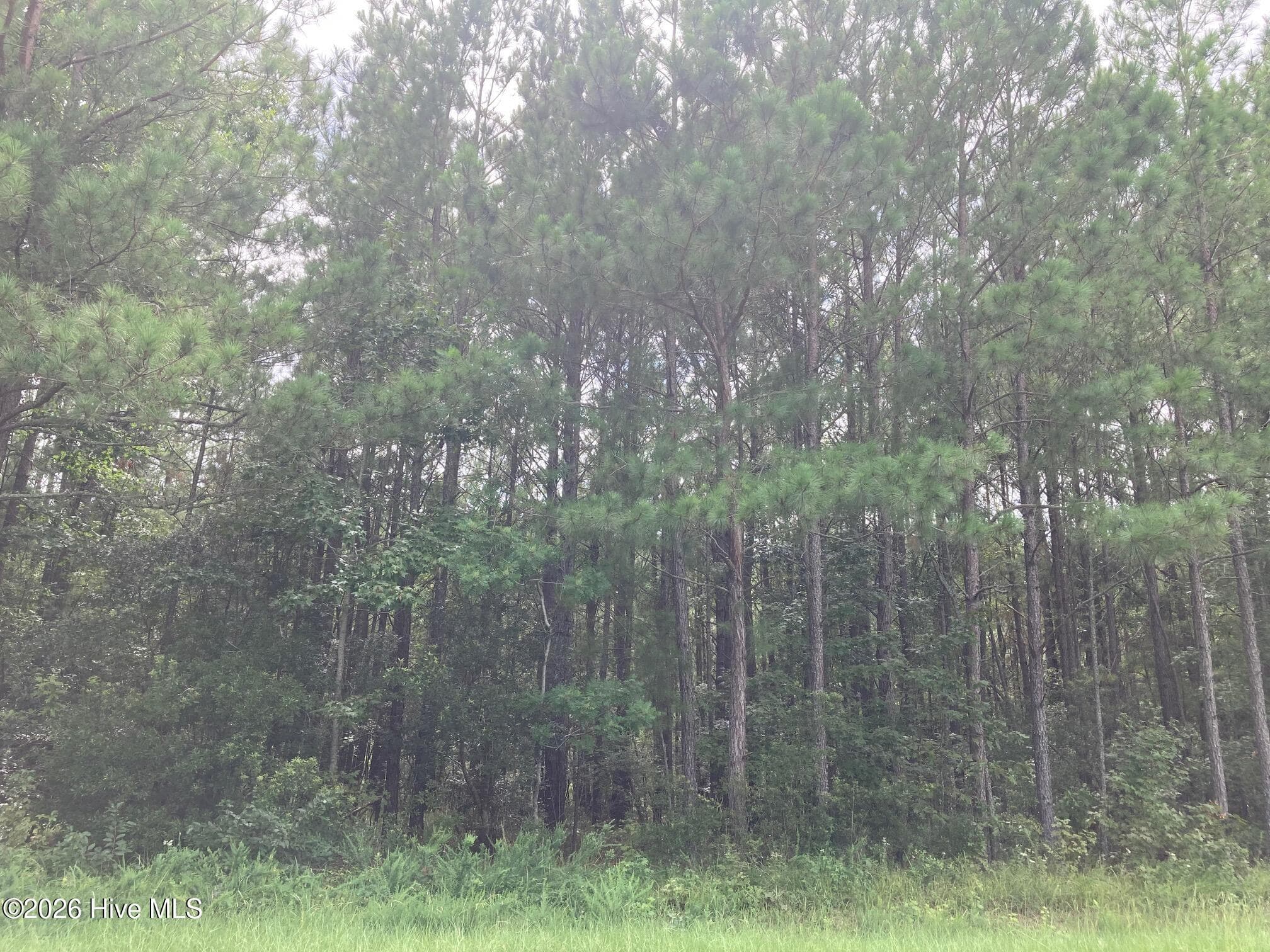 Residential Lot at Lot # 33 33 33 Pine Crest Road, Bath, NC 27808, photo 5 of 7