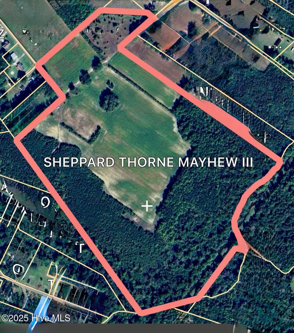 Undeveloped at 203 Lovick Lane, Washington, NC 27889, photo 2 of 7