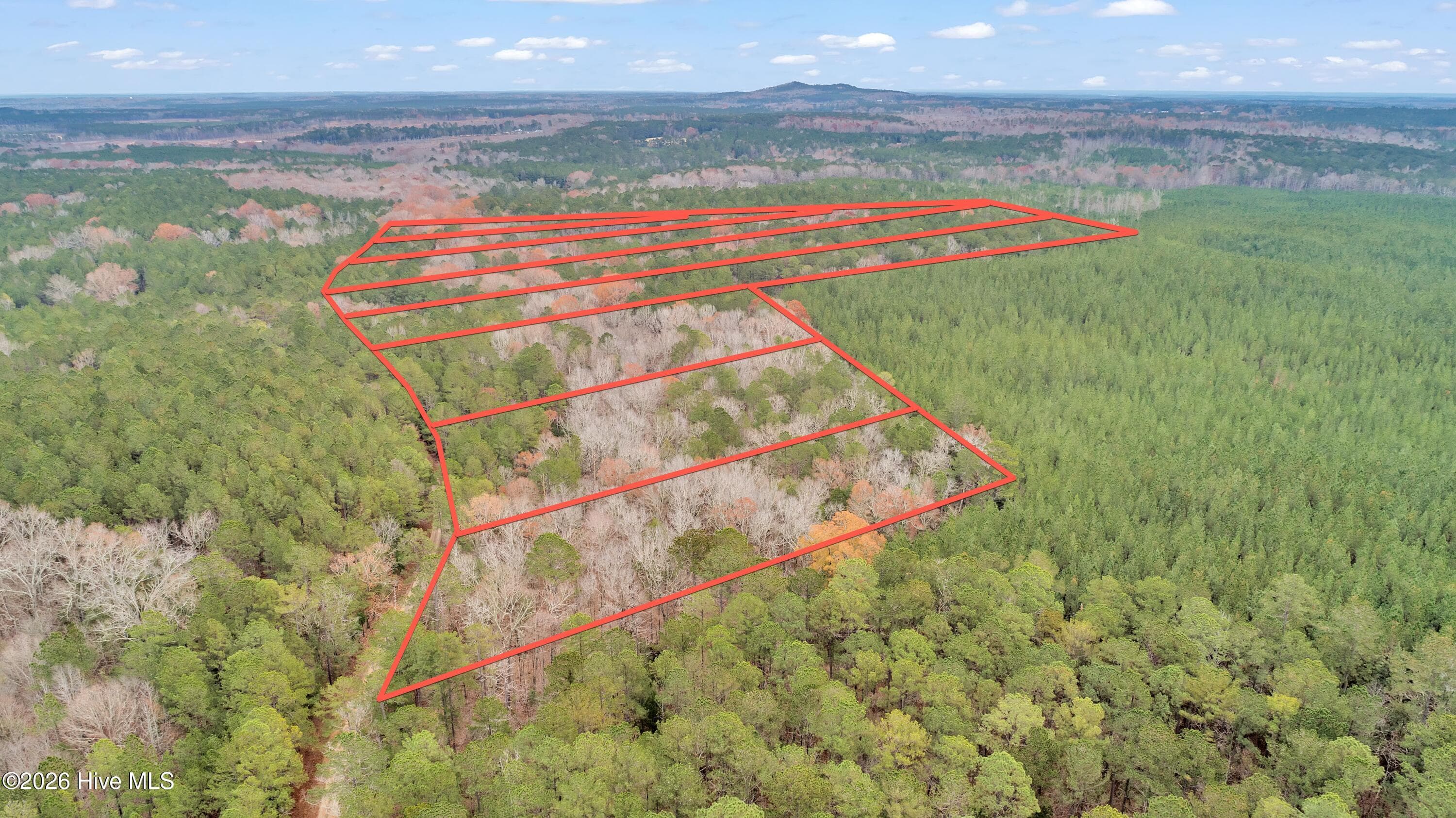 Agriculture at Lot 4 Saggus Road, Washington, GA 30673, photo 18 of 25