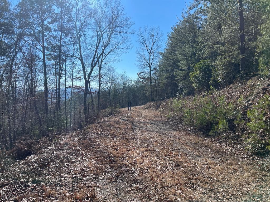 Land at 000 Mistletoe Ridge, Murphy, NC 28906, photo 30 of 31