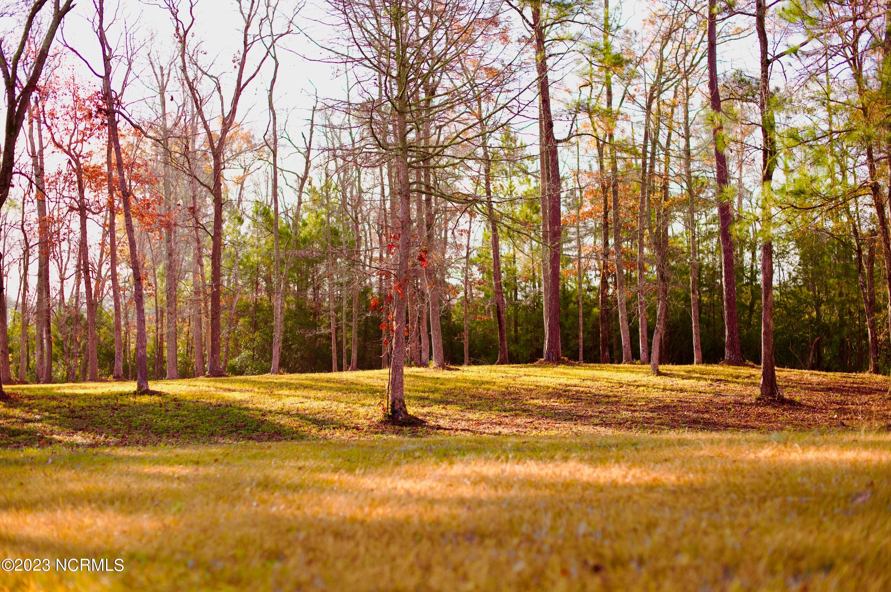 Residential Land at 161 44 Sunshine Drive, Arapahoe, NC 28510, photo 15 of 19