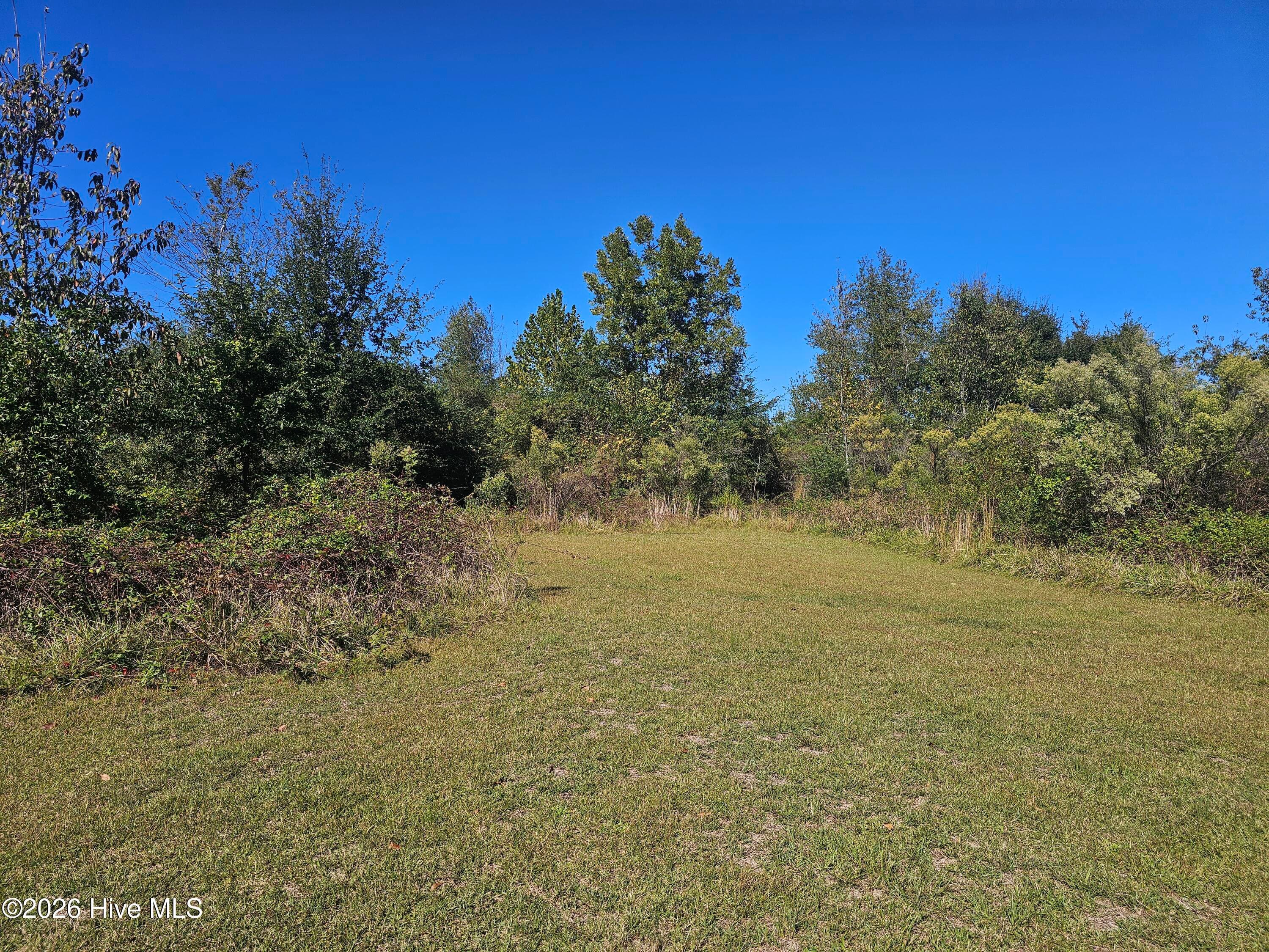 back yard - 25 NE Holmes Pond Road, Johnston, SC 29832