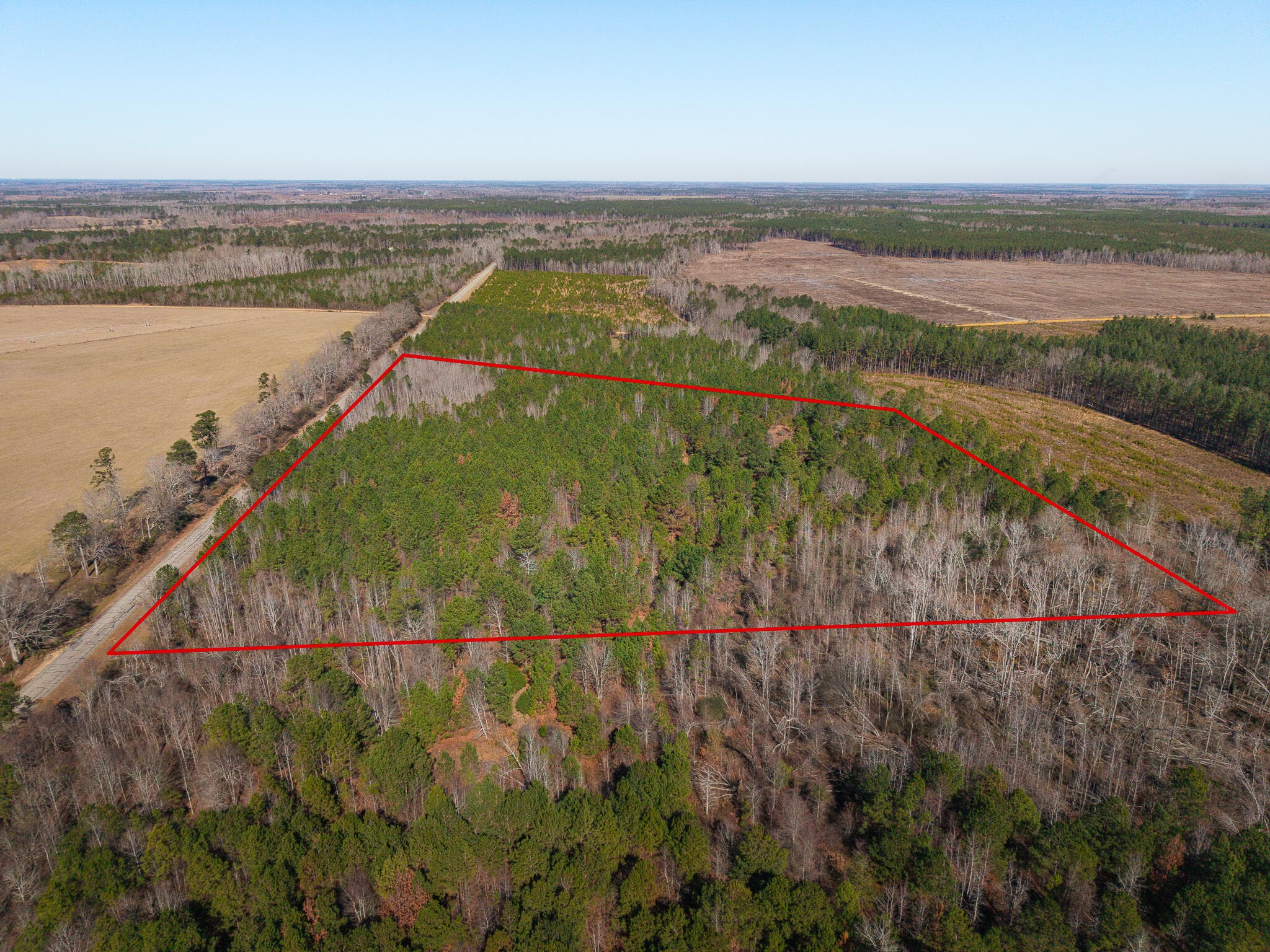 Undeveloped at Tract 3 Ga-305, Midville, GA 30441, photo 2 of 14