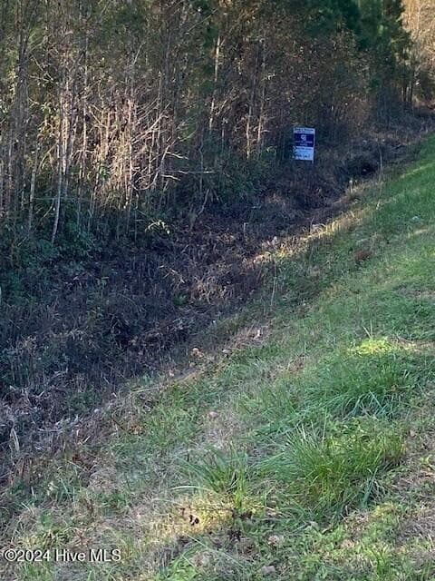 Wooded at 550 Danford Road SE, Bolivia, NC 28422, photo 3 of 3