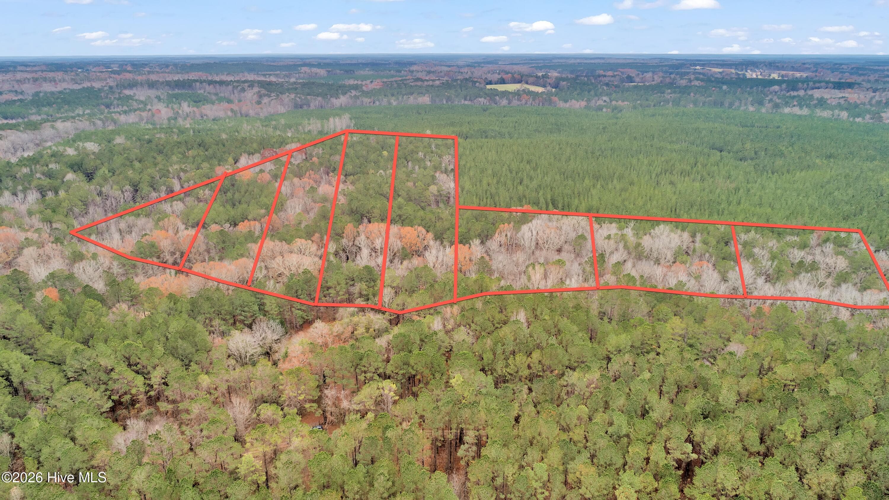 Agriculture at Lot 4 Saggus Road, Washington, GA 30673, photo 20 of 25