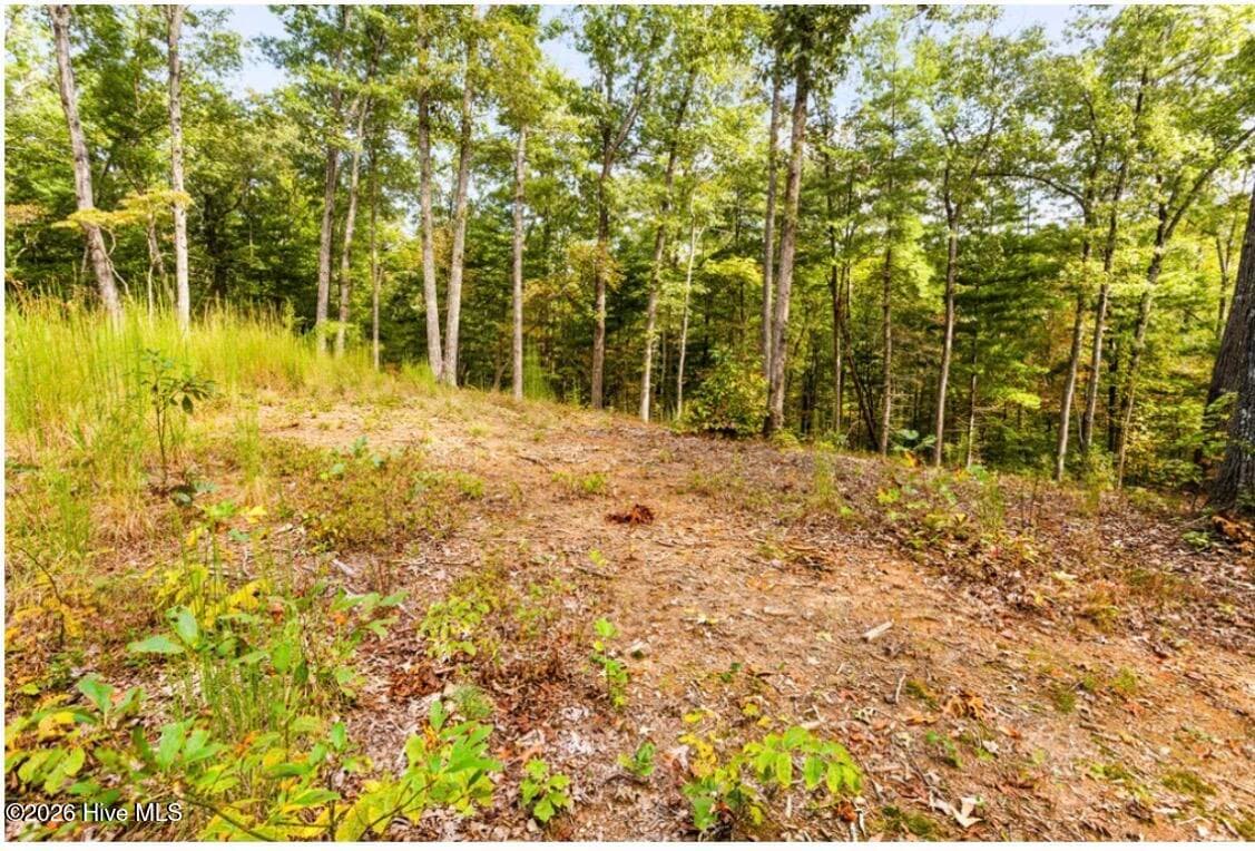 Residential Lot at Tbd Nature Valley Trail, Murphy, NC 28906, photo 7 of 19