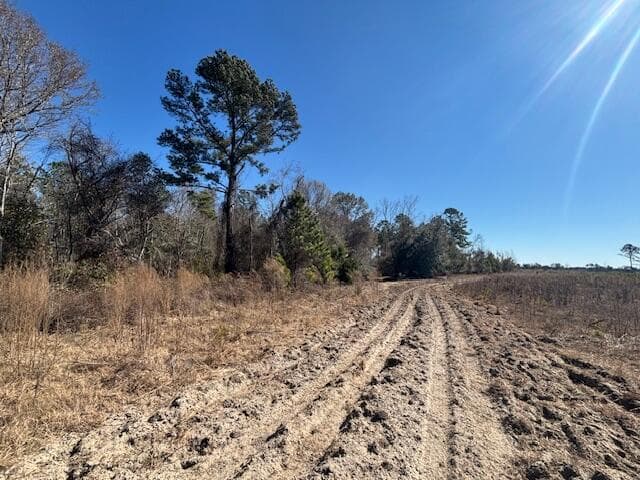Agriculture at 0 Starfish Lane, Lyons, GA 30436, photo 7 of 8