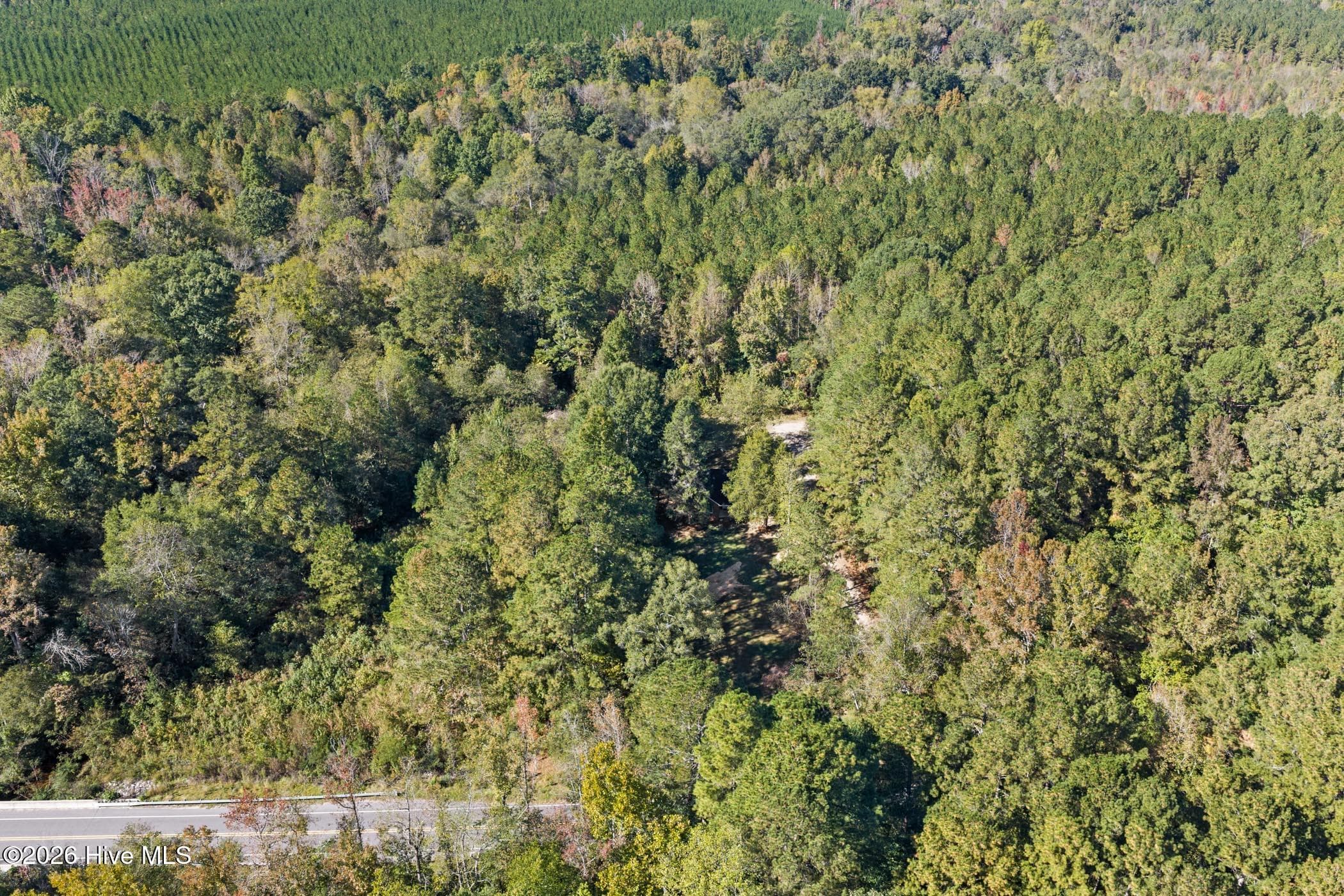 Single Family Residence at 1491 Sandhill Game Mgt Road, Rockingham, NC 28379, photo 37 of 40