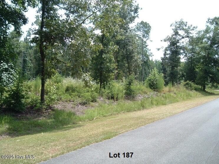 Residential Lot at 607 Pamlico River Drive, Washington, NC 27889, photo 8 of 20