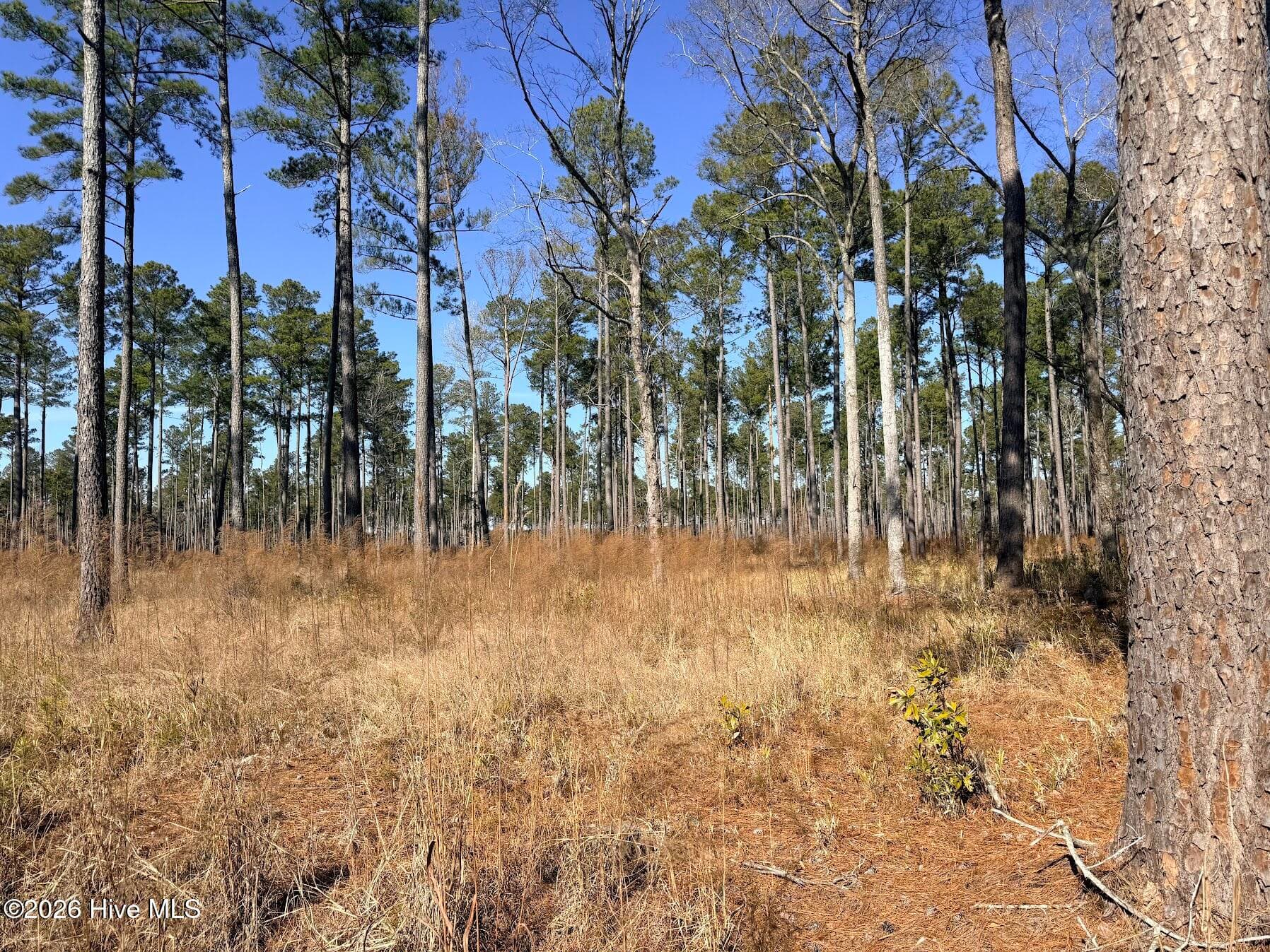Residential Lot at 0 Sr 1119 Off, Chocowinity, NC 27817, photo 2 of 5