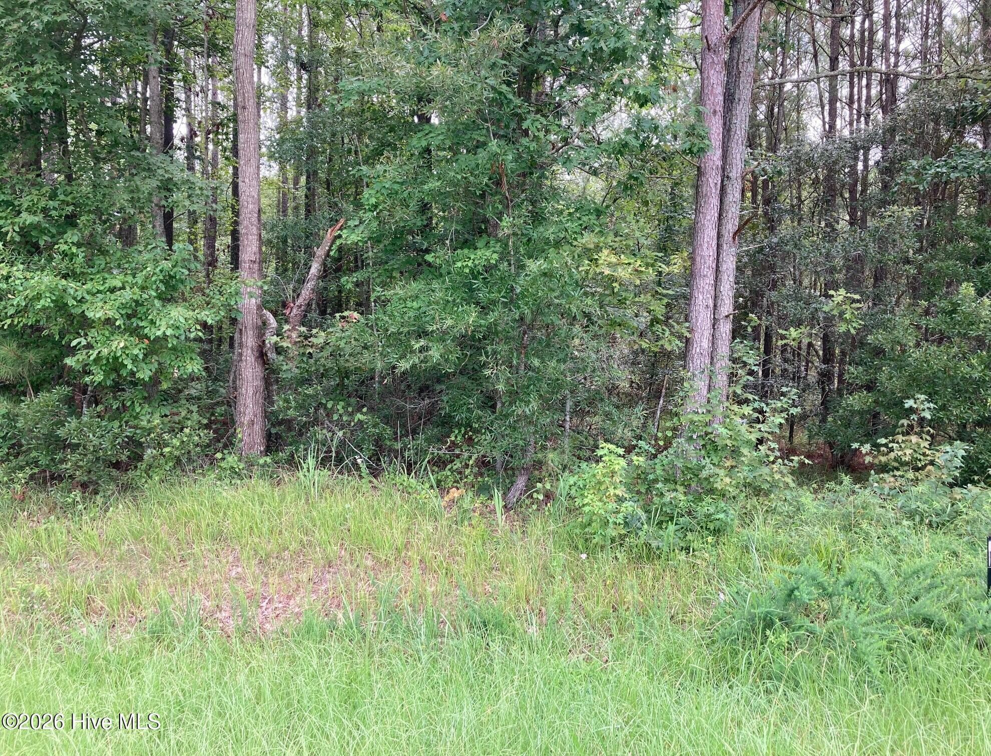 Residential Lot at Lot # 33 33 33 Pine Crest Road, Bath, NC 27808, photo 2 of 7