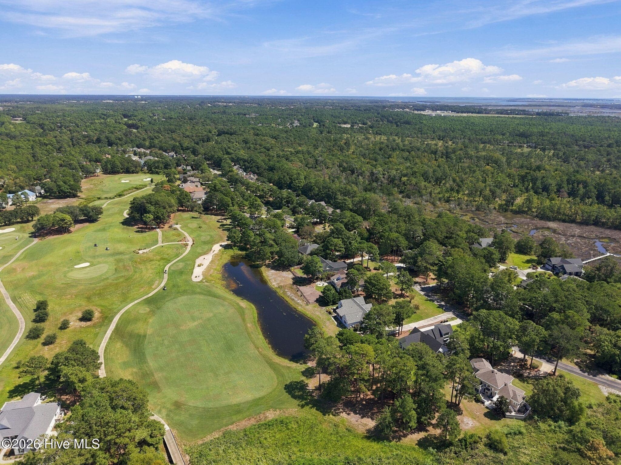 Single Family Residence at 4404 Dragonfly Court SE, Southport, NC 28461, photo 78 of 100