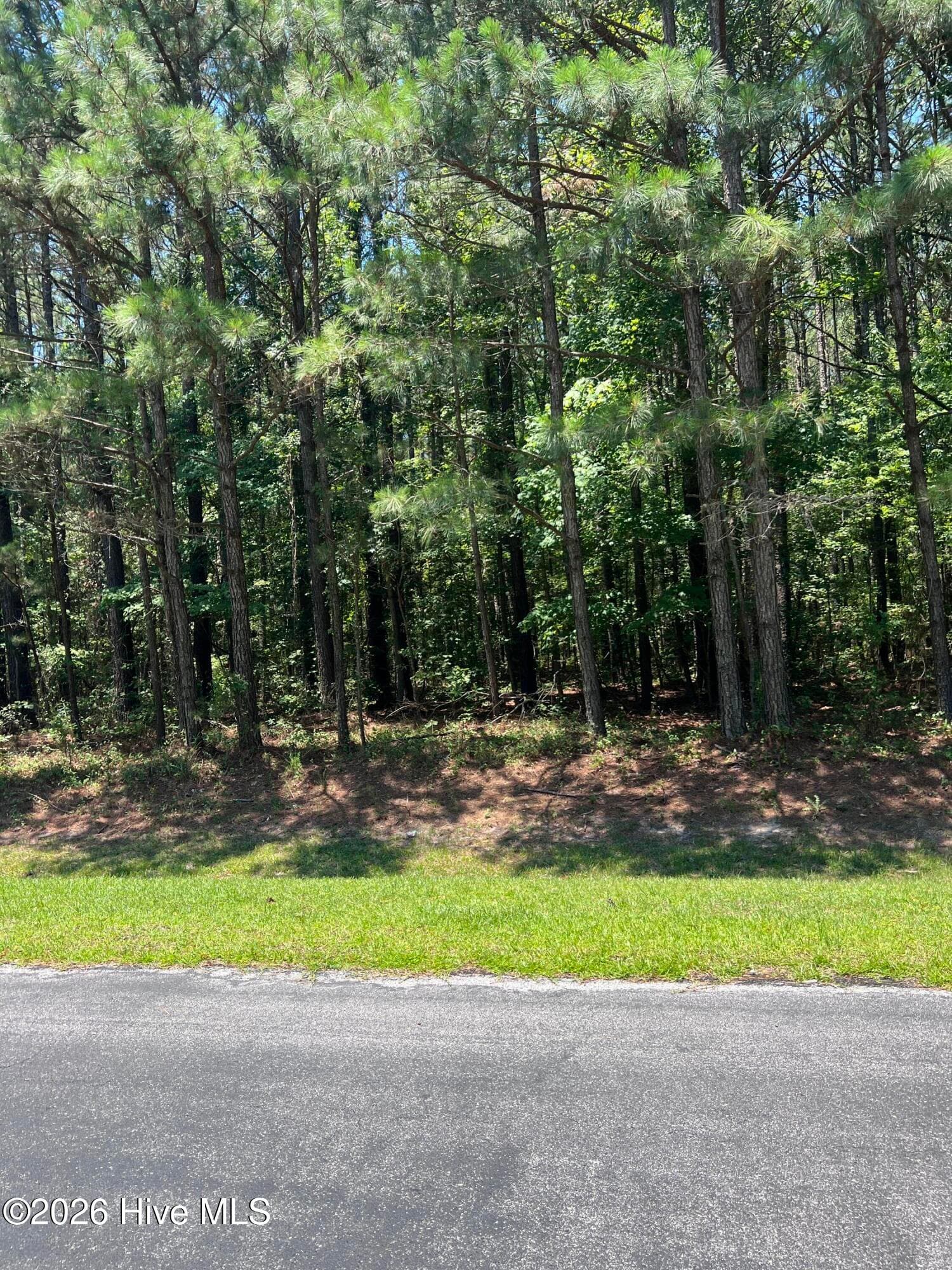 Residential Lot at Lot #79 Breakwater Drive, Bath, NC 27808, photo 4 of 8
