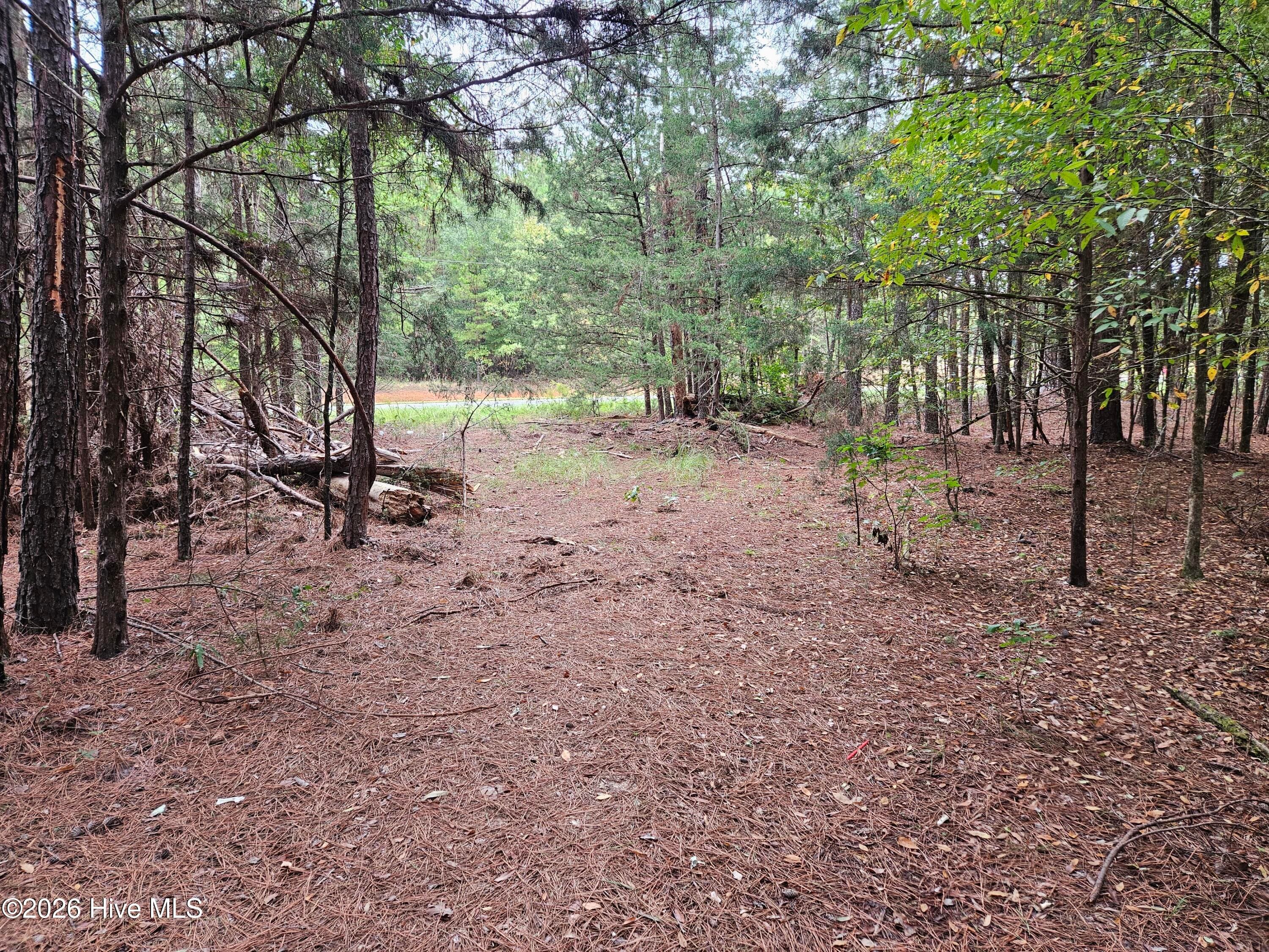 Wooded at 0 Washington Highway, Lincolnton, GA 30817, photo 10 of 11