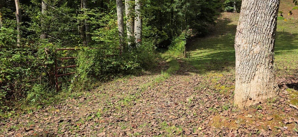 Wooded at 595 Horton Road, Murphy, NC 28906, photo 11 of 13