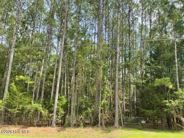 6856 Cottonwood Drive, Appling, GA 30802