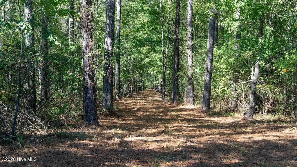 Mixed Use at 0 Spring Hill Road, Scotland Neck, NC 27874, photo 51 of 93