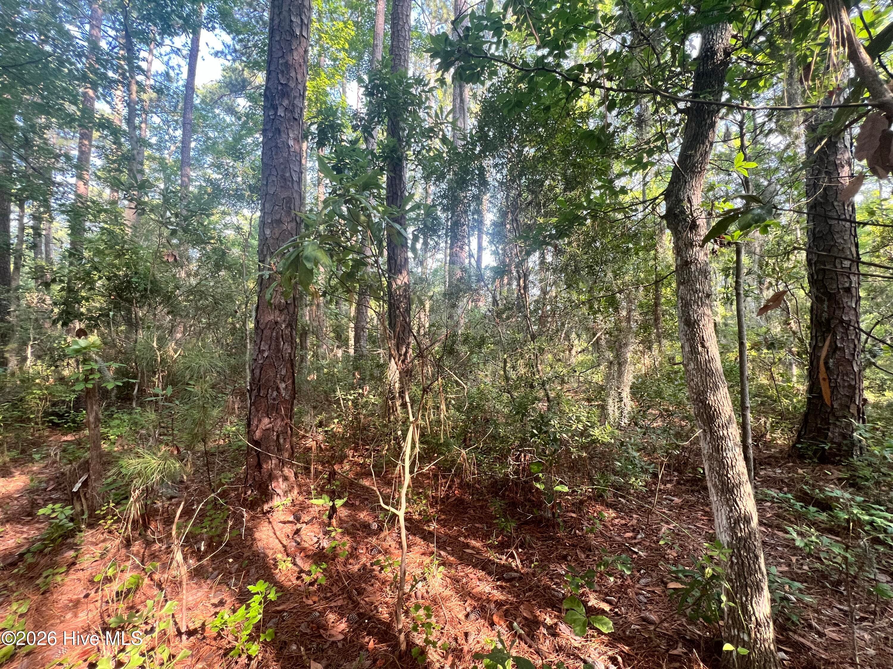 Residential Lot at Lot 2 & 3 Strawhorn Creek Road, Aurora, NC 27806, photo 15 of 18