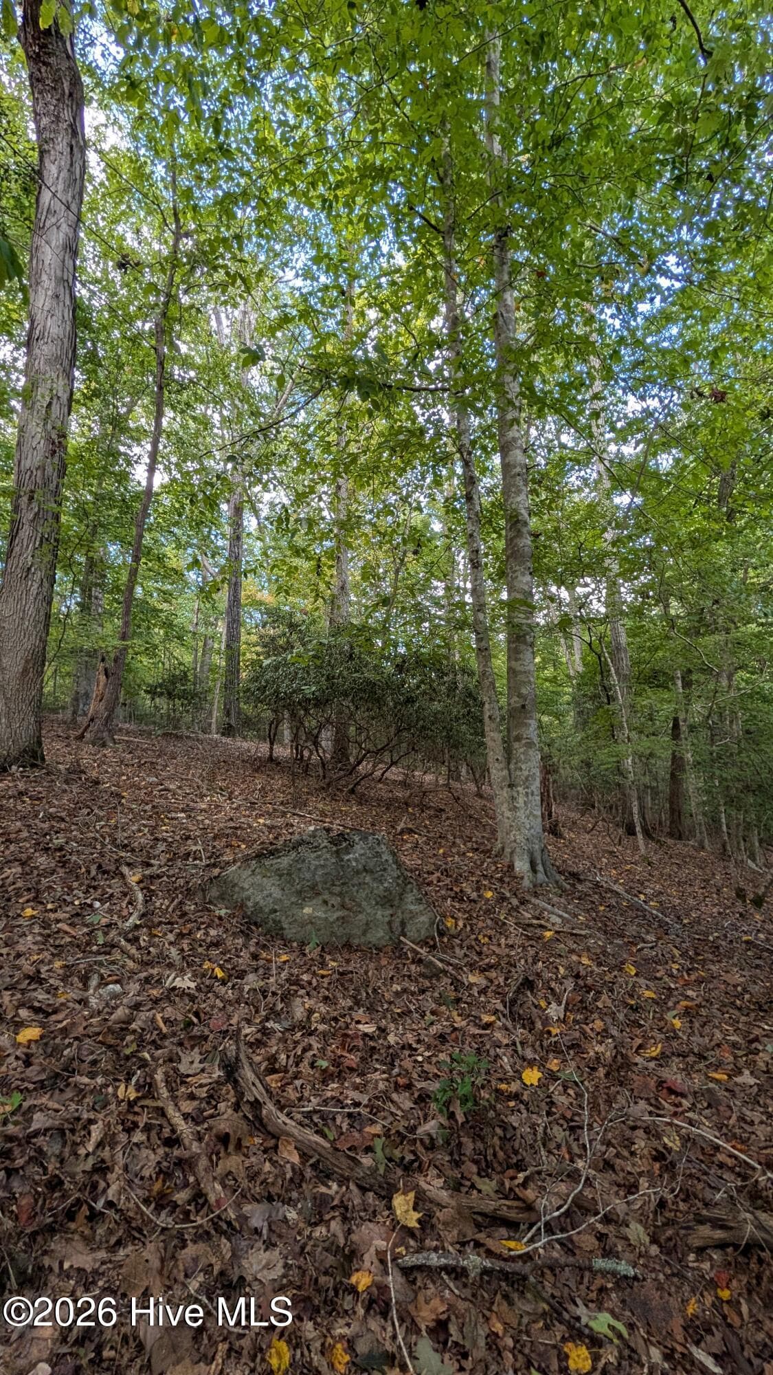 Residential Lot at Lot 5 Capelsie Road, Candor, NC 27229, photo 13 of 14