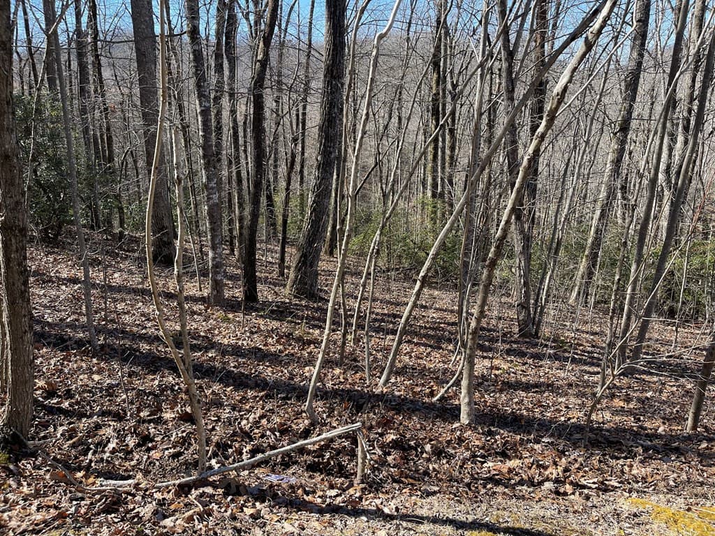 Residential Lot at Lot 34j 34J Ash Branch Road, Hayesville, NC 28904, photo 5 of 6