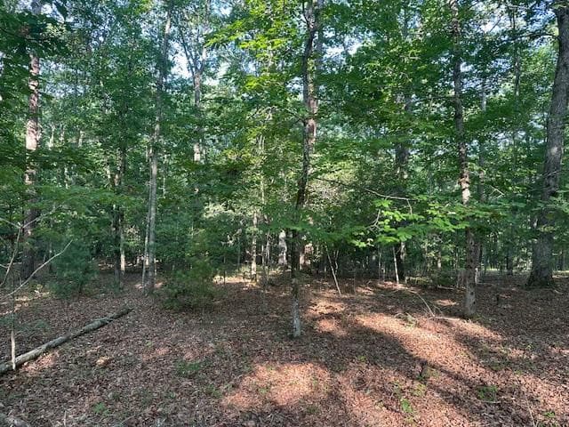 Lot 208 28 Boulder Creek Road, Murphy, NC 28906