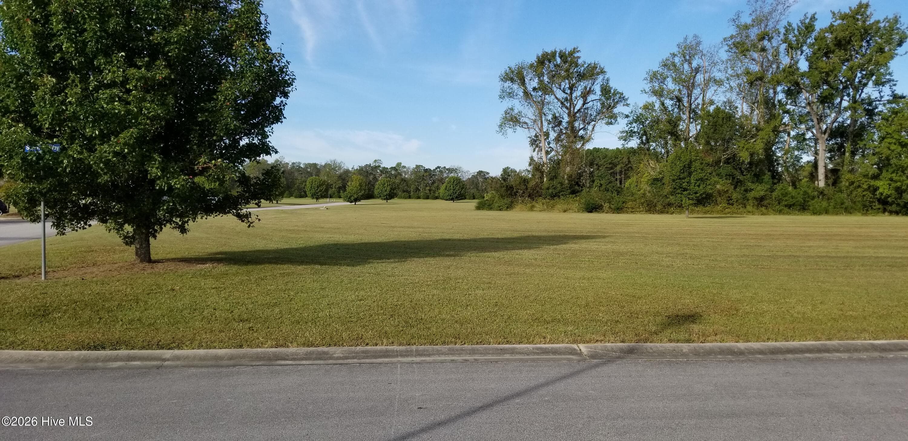 Residential Lot at 32 Josie Way, Arapahoe, NC 28510, photo 2 of 15