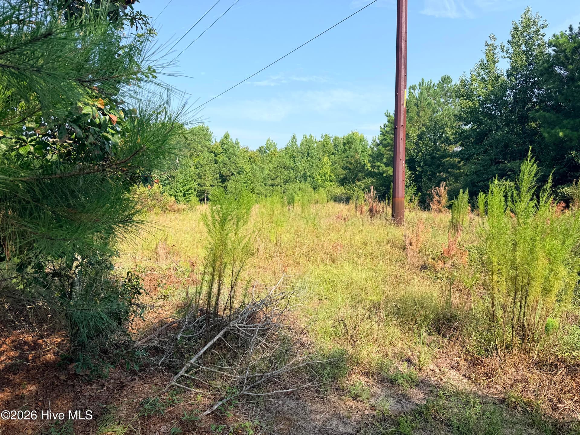 Wooded at 141 Autumn Chase Lane, Beech Island, SC 29842