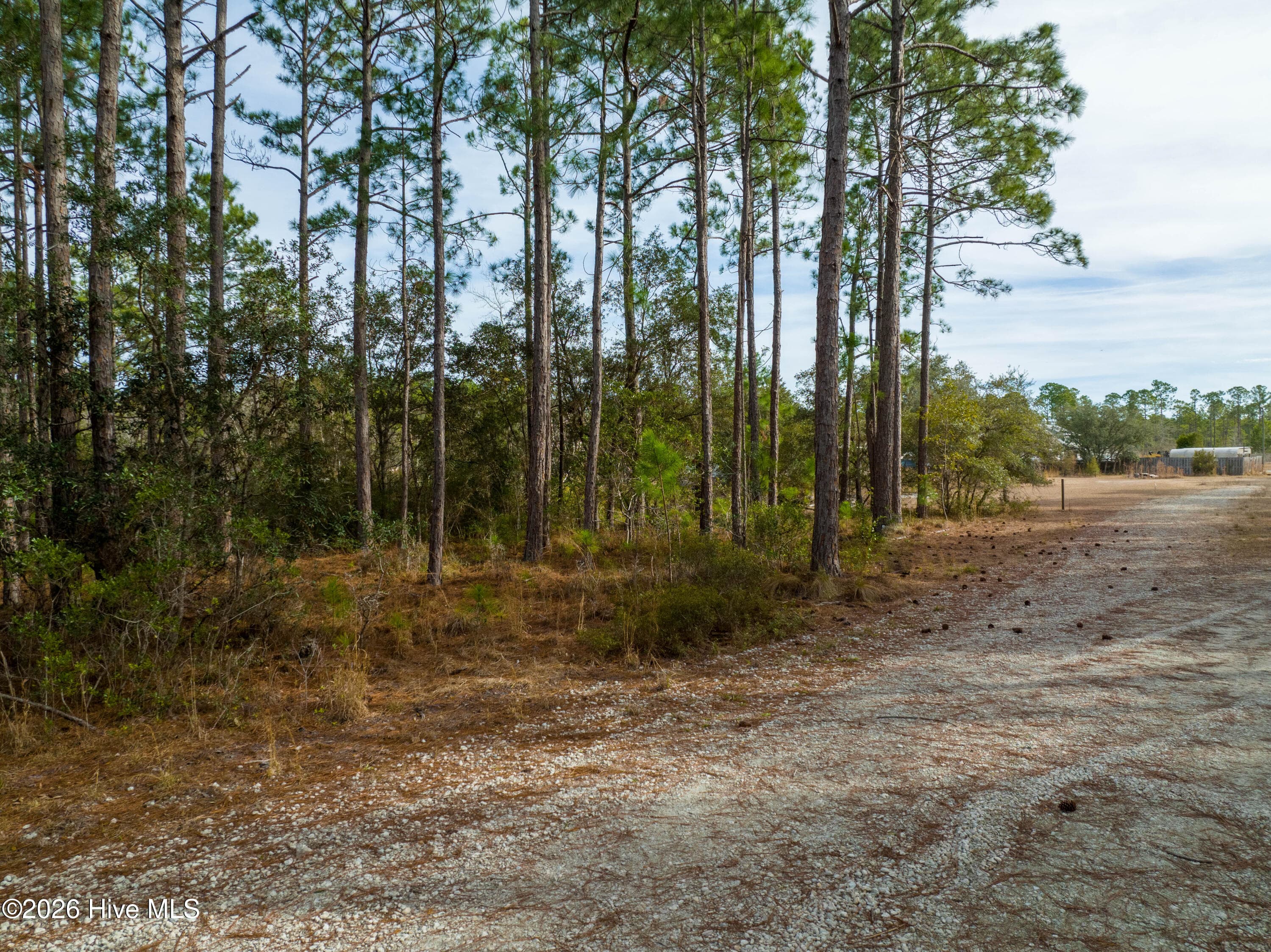 Residential Lot at Tbd Double Oaks Drive, Hampstead, NC 28443, photo 7 of 21
